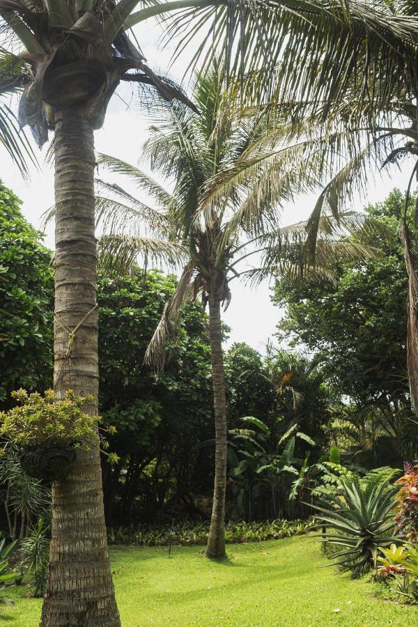 The Villa Salt Rock Ballito Luaran gambar